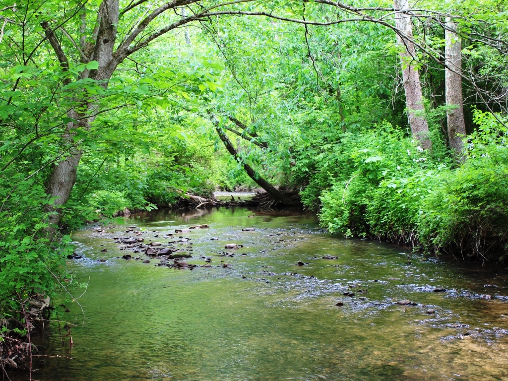 Arney Run (Creek)