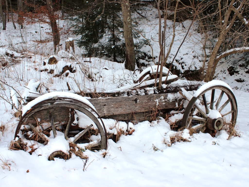 Wagon in Snow