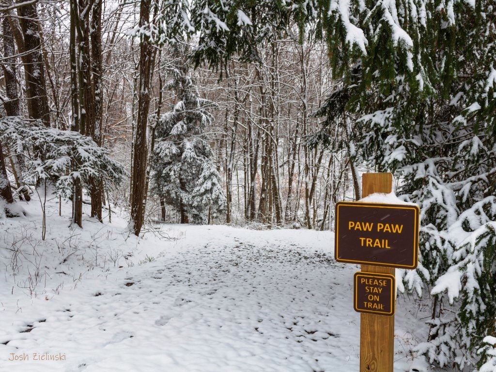 Paw Paw Trail | Photo by Josh Zielinski