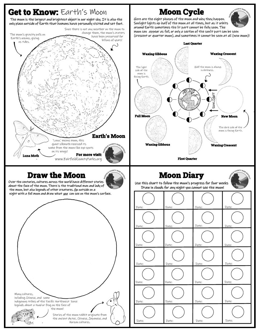Get to Know Earth's Moon - Activity Worksheet