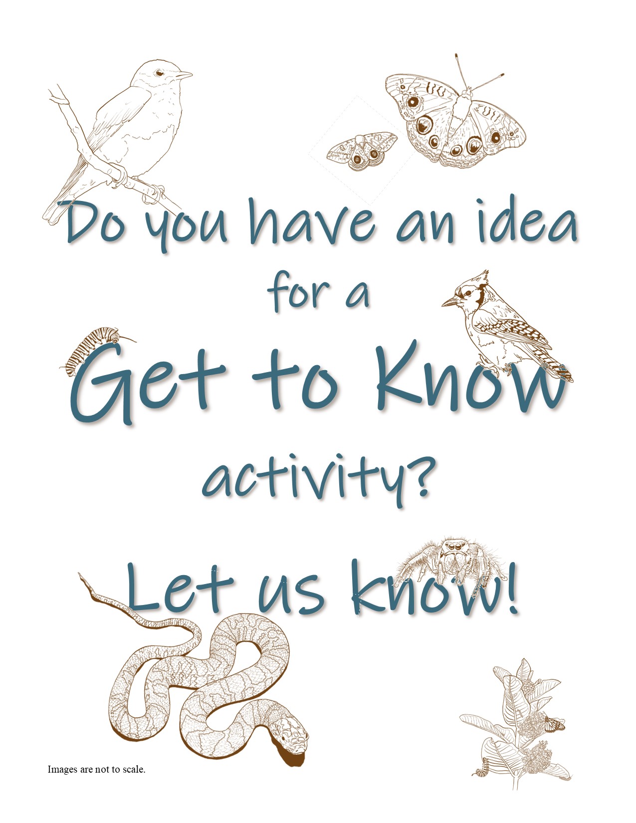 Do you have an idea for a Get to Know activity? Let us know!