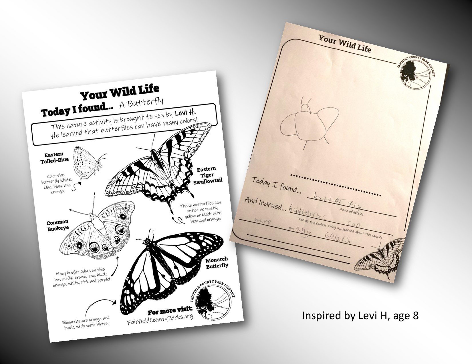 Click here to get a printable Butterly coloring sheet.
