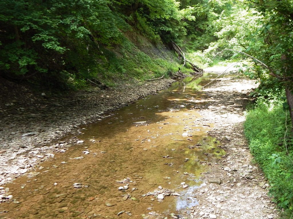 Salt Creek in Cross Mound Park