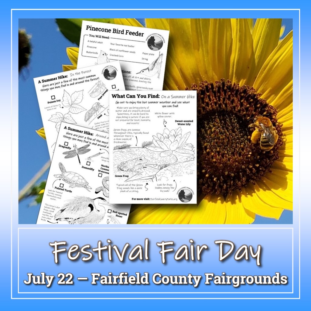 Festival Fair Day 2023 (Fairfield County Fairgrounds) Fairfield