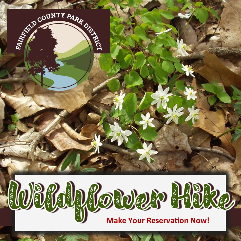 Wildflower Hike at Coyote Run (REGISTRATION REQUIRED)
