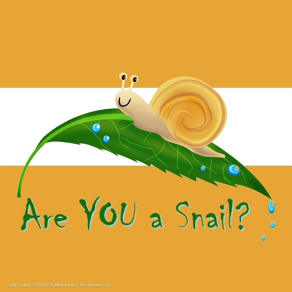 Are You a Snail? (Mambourg Park)