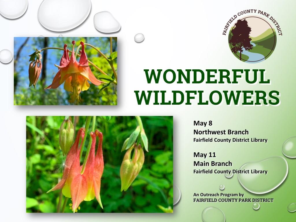 Wonderful Wildflowers (An Outreach Program at Northwest Branch Library)