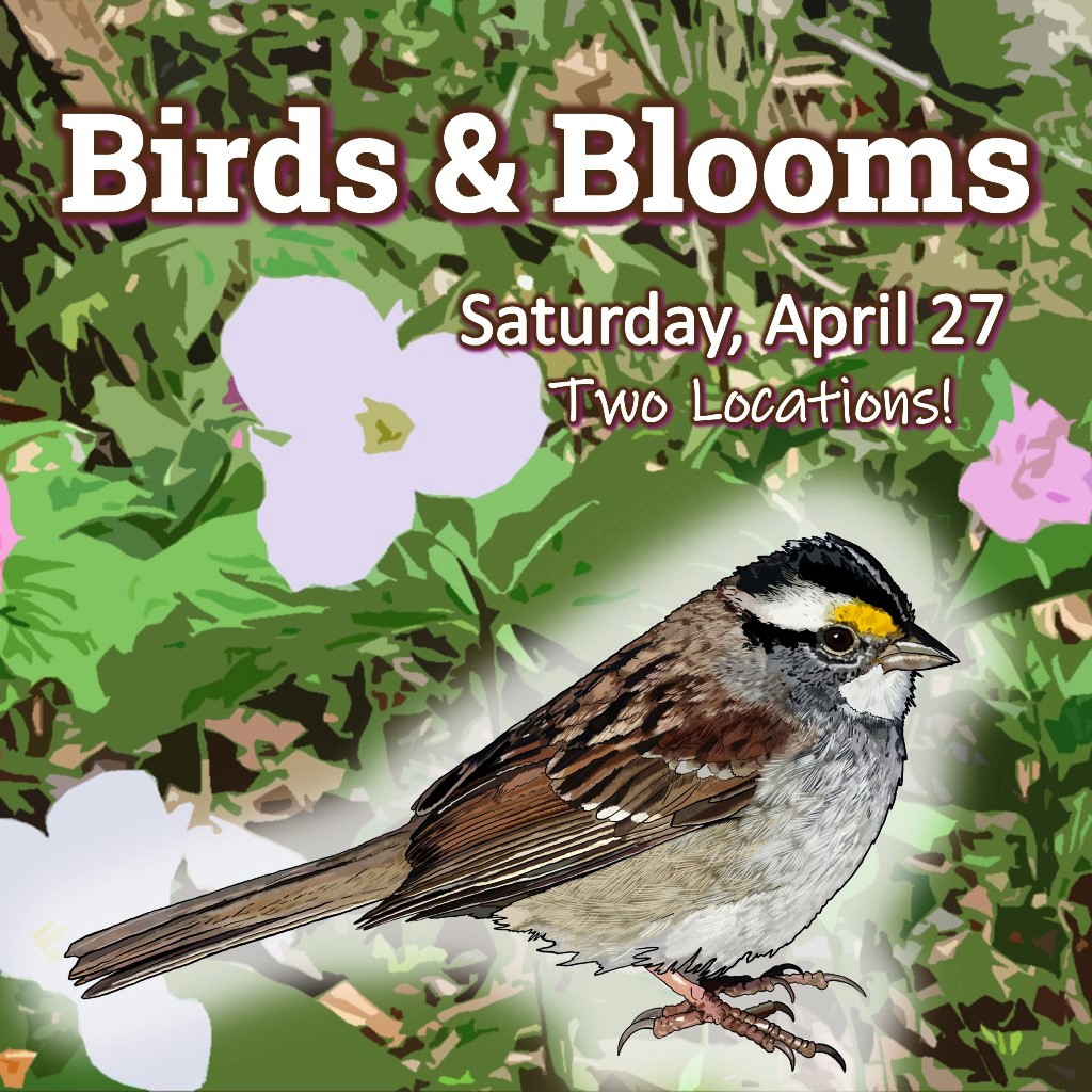 Birds & Blooms (Mambourg Park)
